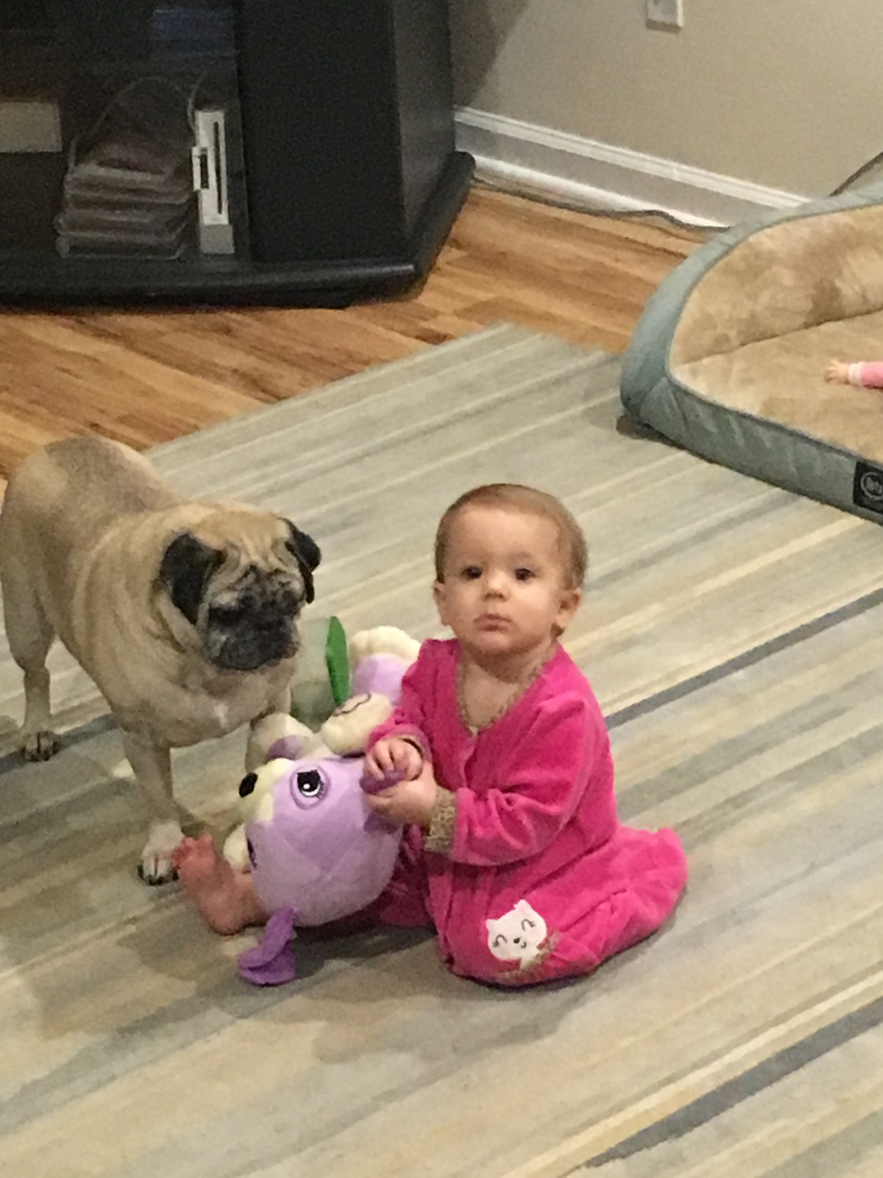 Brad's daughter with the family dog.