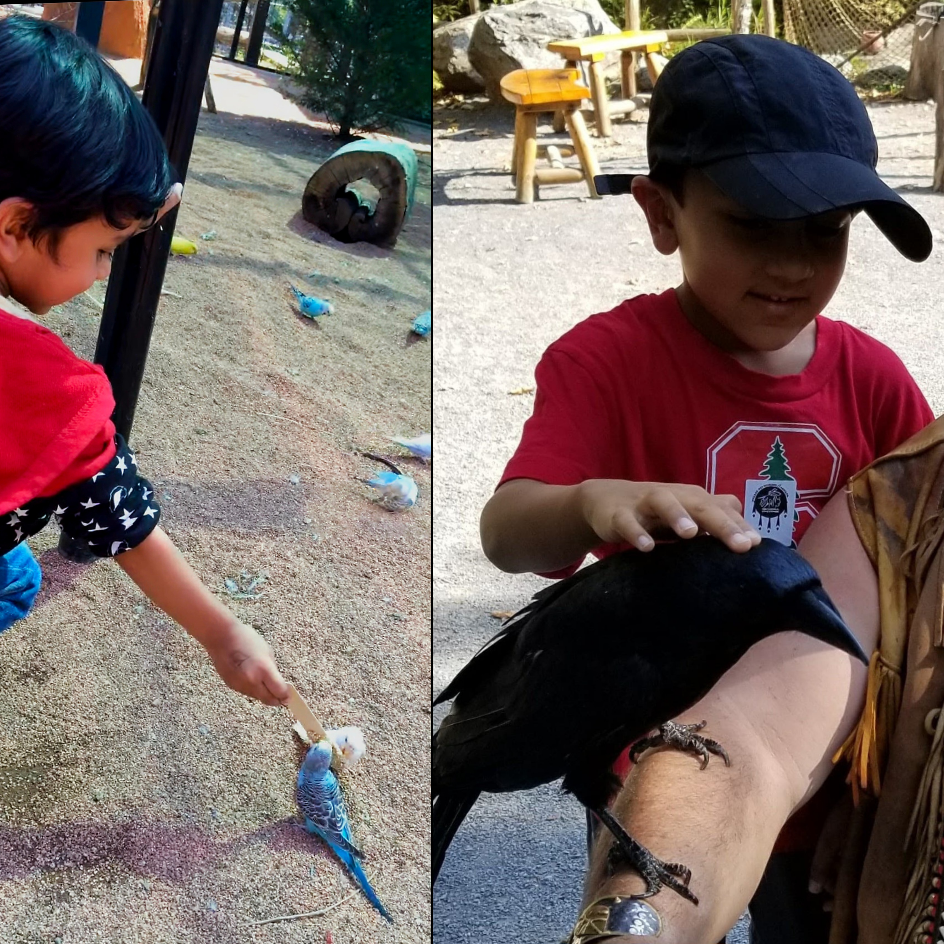 photos of Naveen at the bird sanctuary in Singapore where he grew up